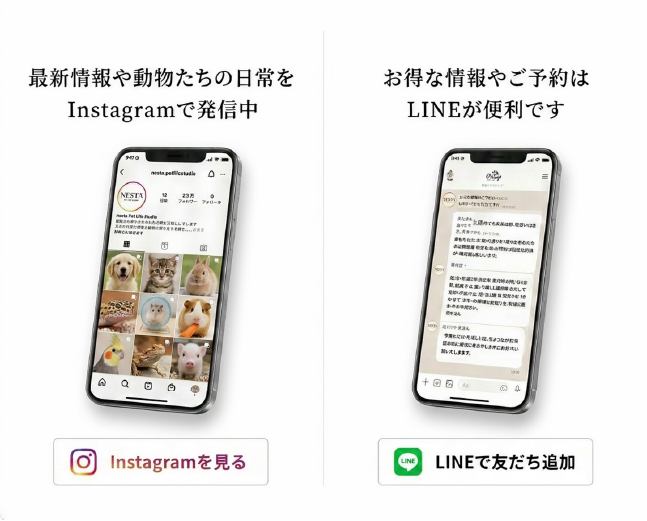 InstagramとLINEの案内