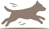 Dog Space